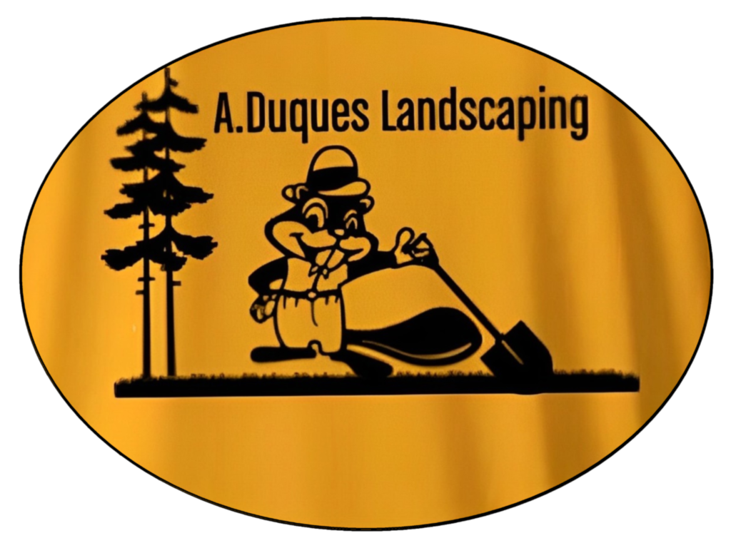 A.Duques Landscaping LLC
