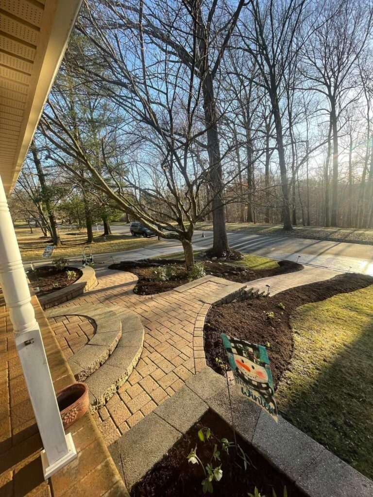 fall Clean-up