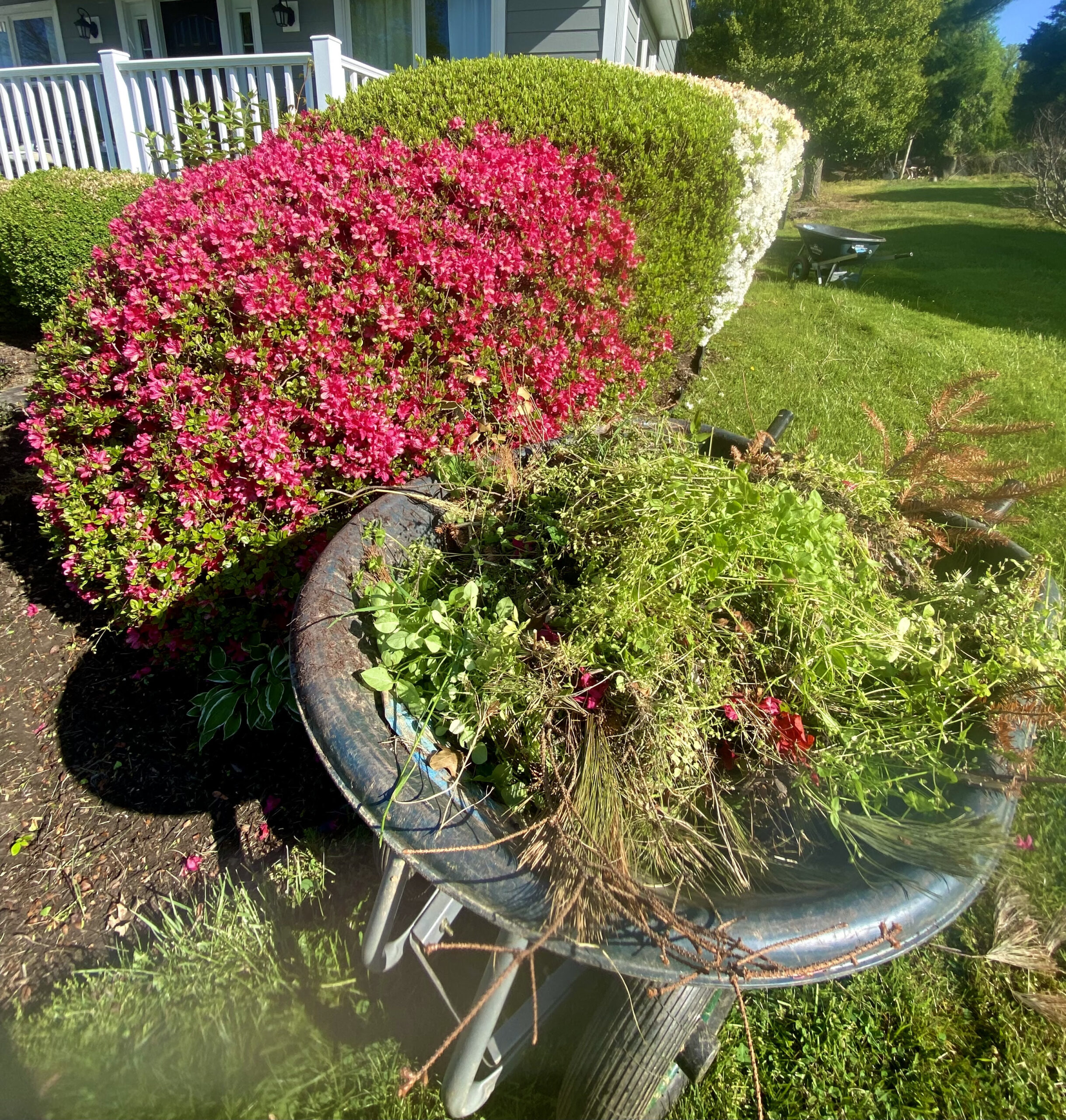 Spring Clean-ups