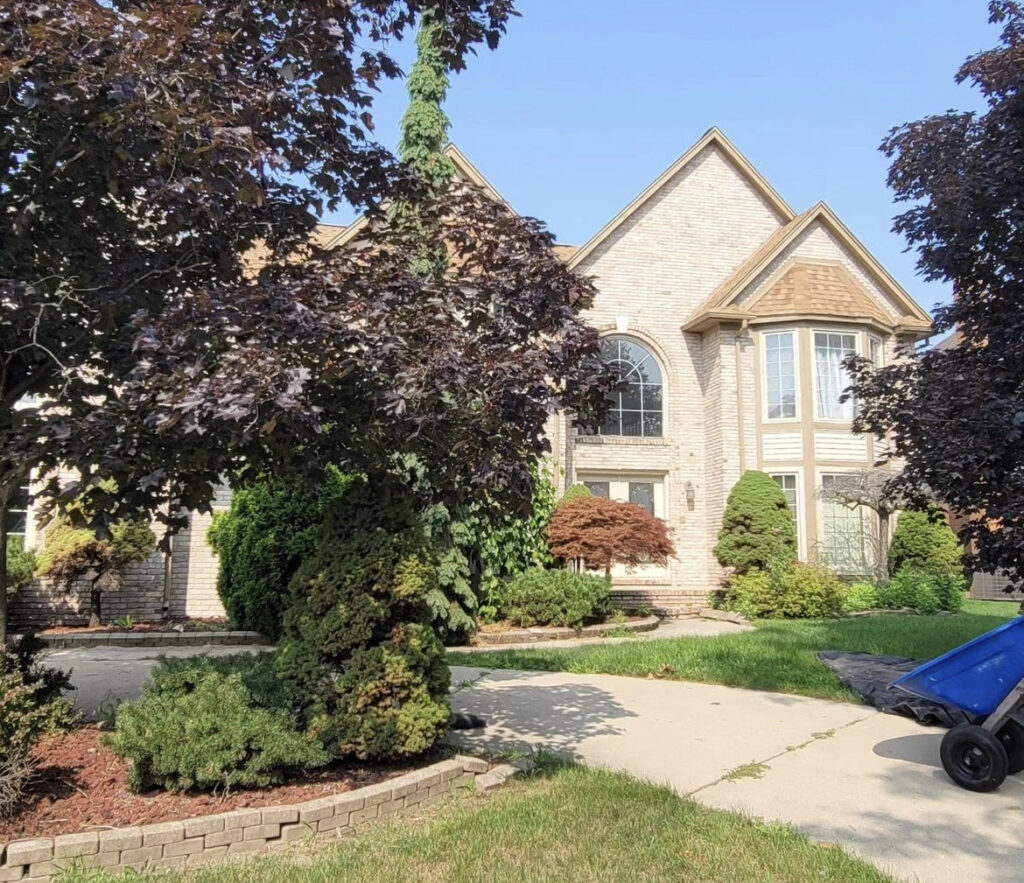 Ornamental tree trimming/pruning