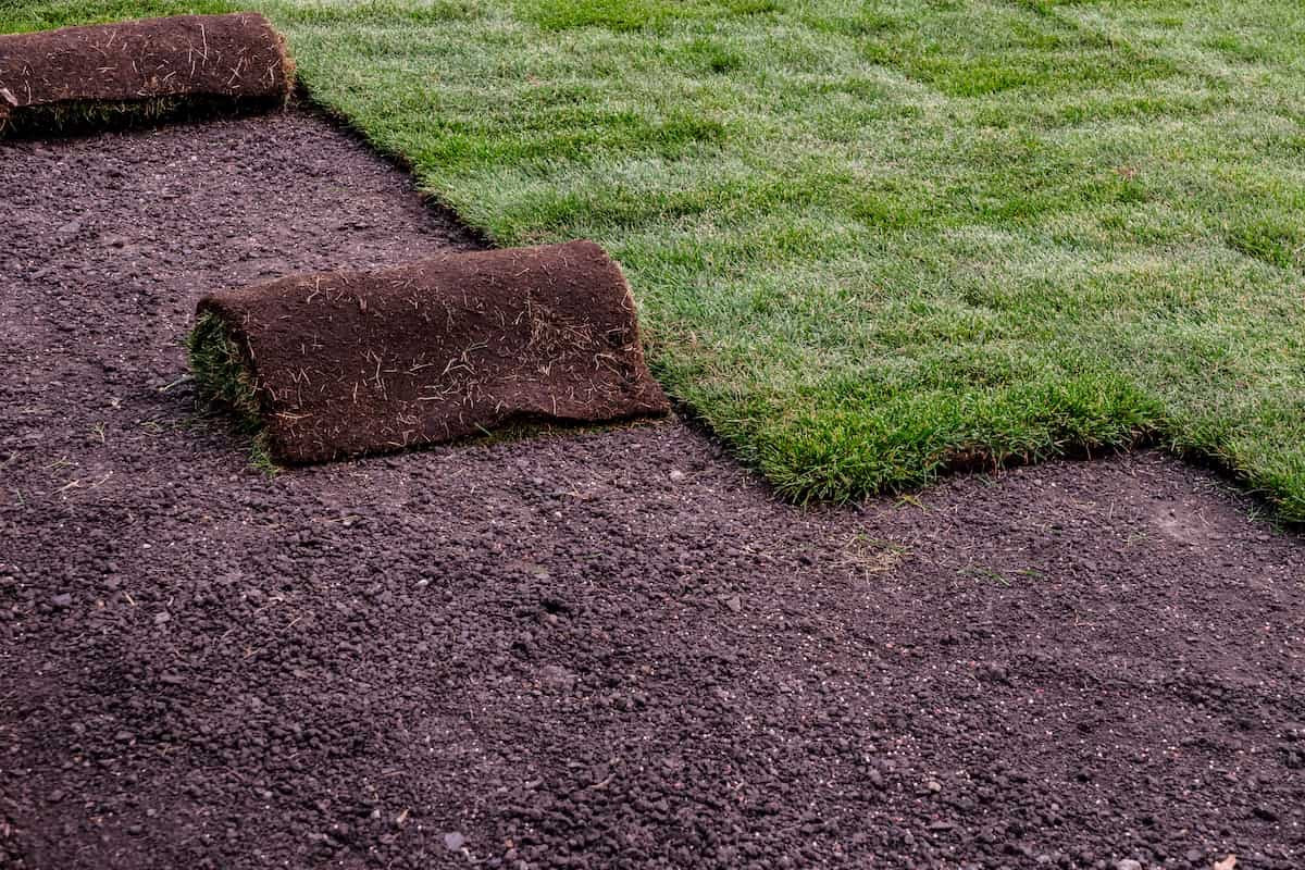 Land Renovation & Sod installation