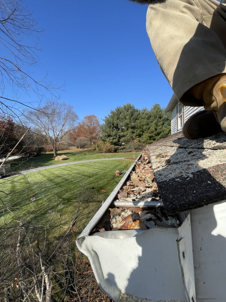 Gutter Cleaning