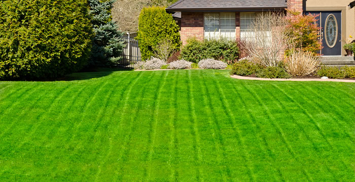 Seasonal Lawn Care in Damascus