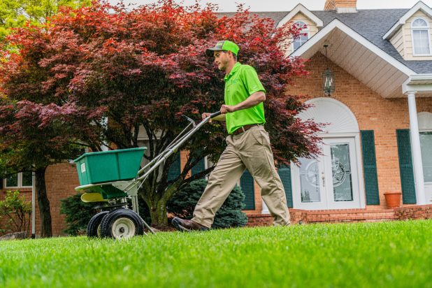 Commercial Lawn Care in Potomac