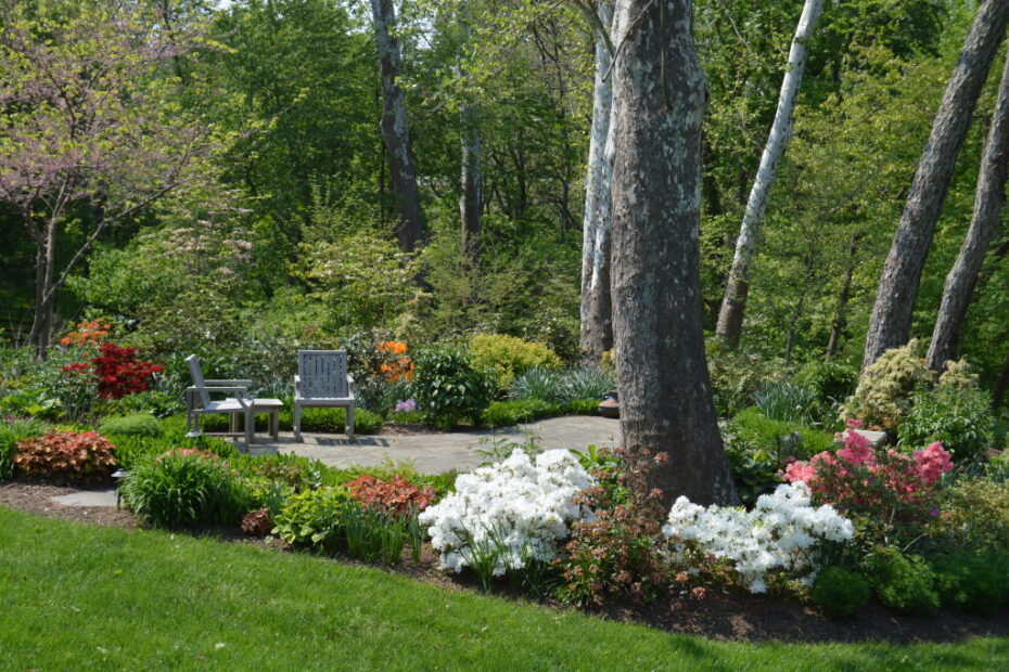 Plant Installation in Potomac