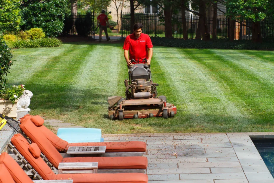 Yard Cleanup in Potomac